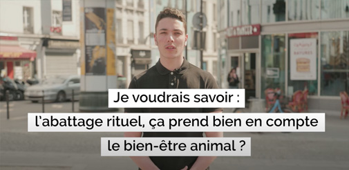 Vidéo La compatibilité de l’abattage rituel & de la bientraitance animale